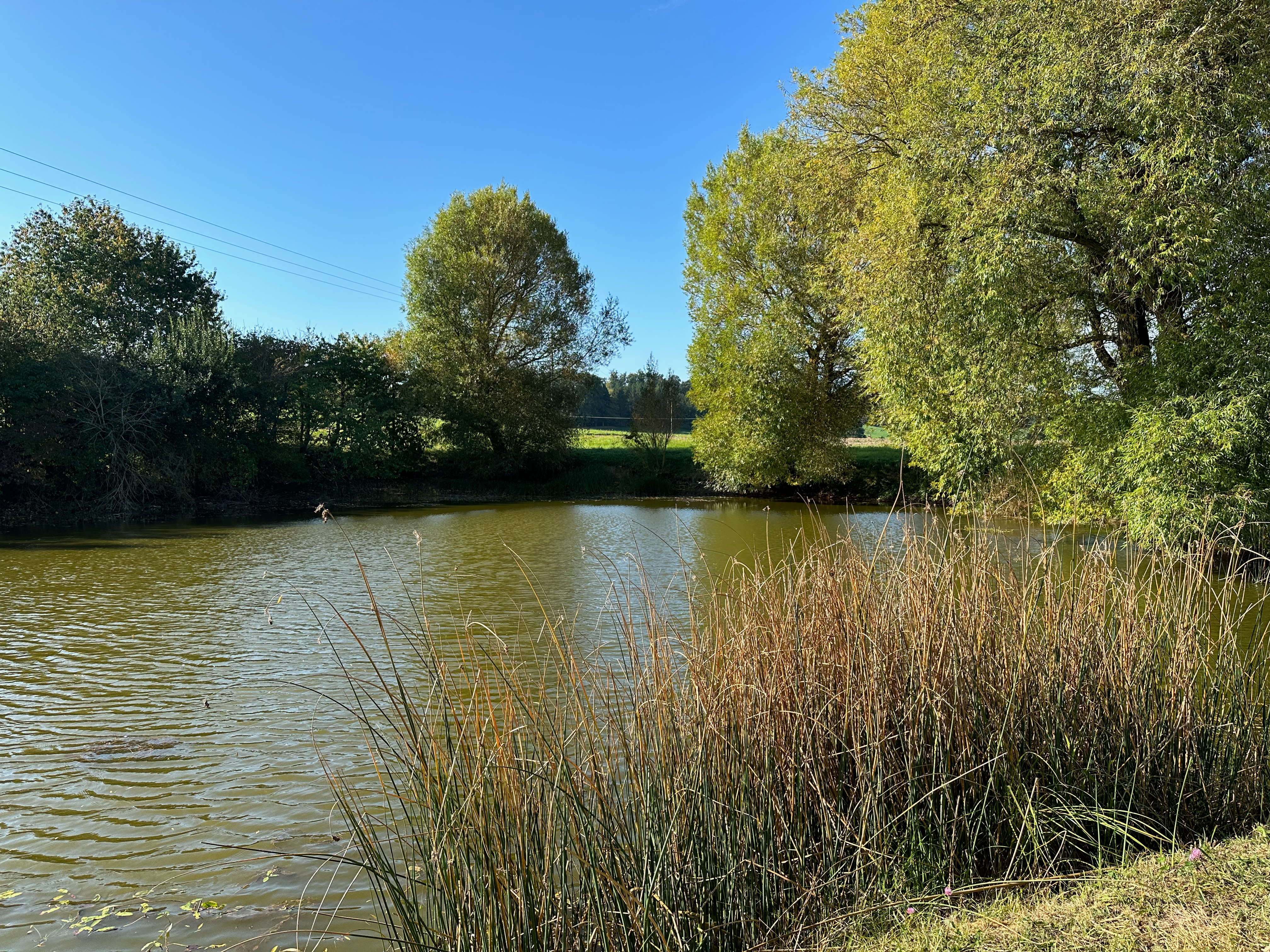 Kapellen-Natur-Talweg Impression 1