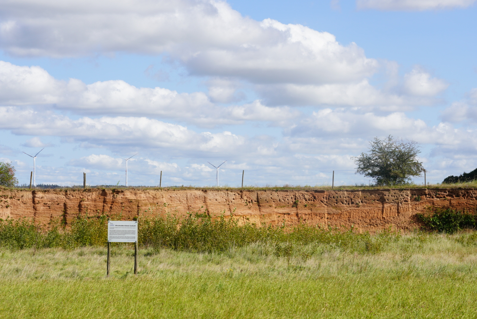 Kapellen-Natur-Talweg Impression 4