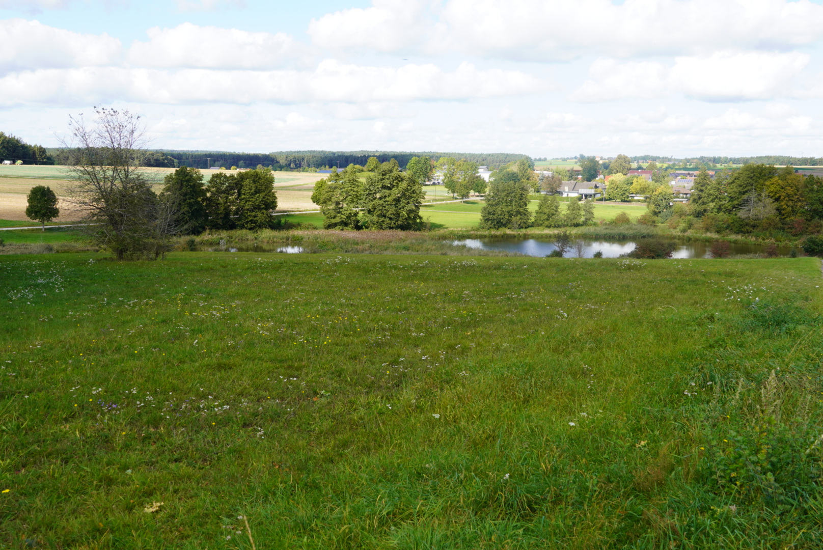 Kapellen-Natur-Talweg Impression 6